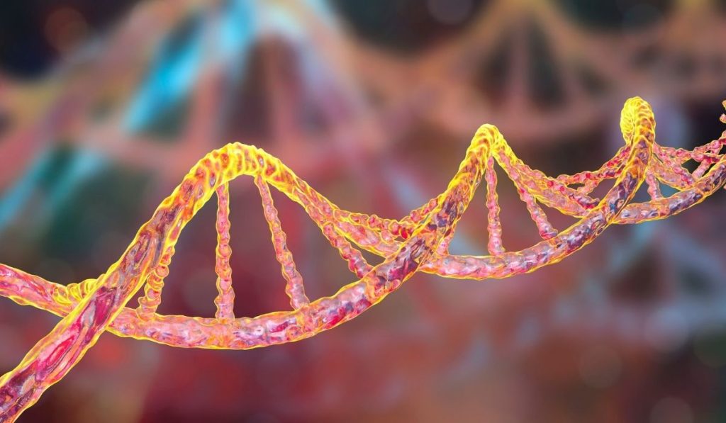 Onpattro: Mechanism, Benefits, and What It Means for hATTR